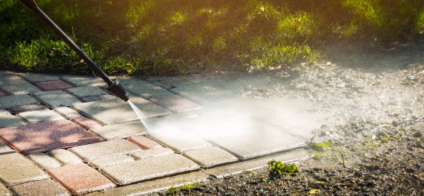 Best Animal Enclosure Cleaning  in Dallas, TX